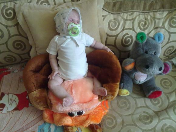 Отдохнувшие после долгого путешествия, решили пофотографироваться (фото 3)