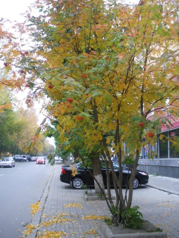 Несколько коротких мгновений, или Есть в осени первоначальной… | Бэйбики Несколько коротких мгновений, или Есть в осени первоначальной…