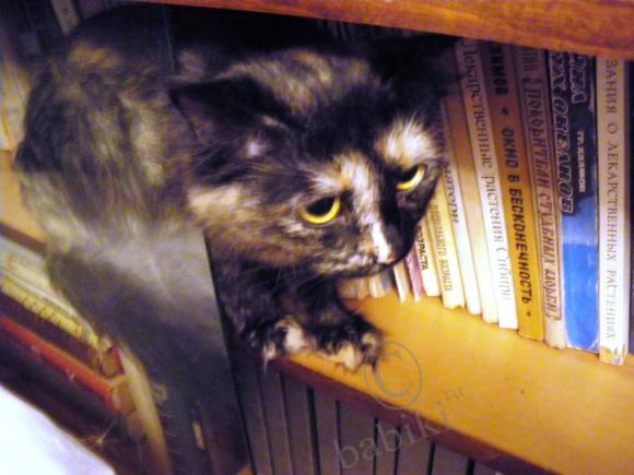 Где находится НОФЕЛЕТ? Часть первая. Кулинарное путешествие Айбулата в Уфу (фото 10)