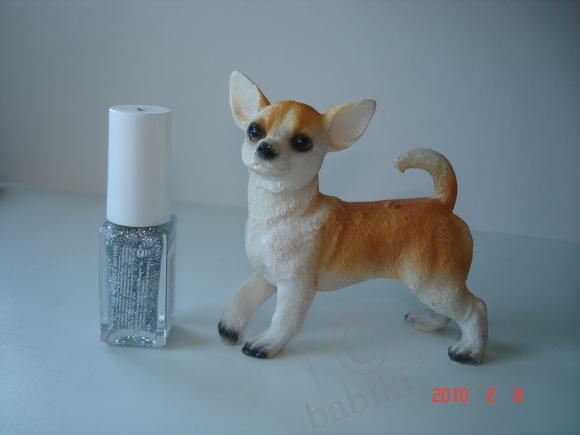 Вот такие собачки живут у меня дома (фото 10)