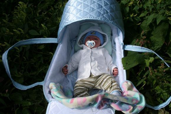 Мама сшила мне кровать, буду в ней теперь гулять (фото 8)