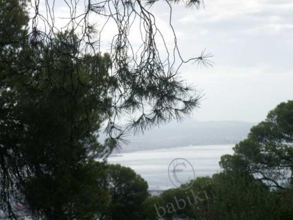 Пять часов в Пальма-де-Майорка (фото 3)