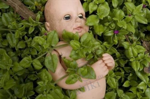 Остров мертвых кукол. La Isla de la Munecas (фото 5)