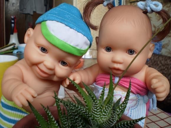 А летом было здорово! Мои пупсики Паола Рейна (фото 2)