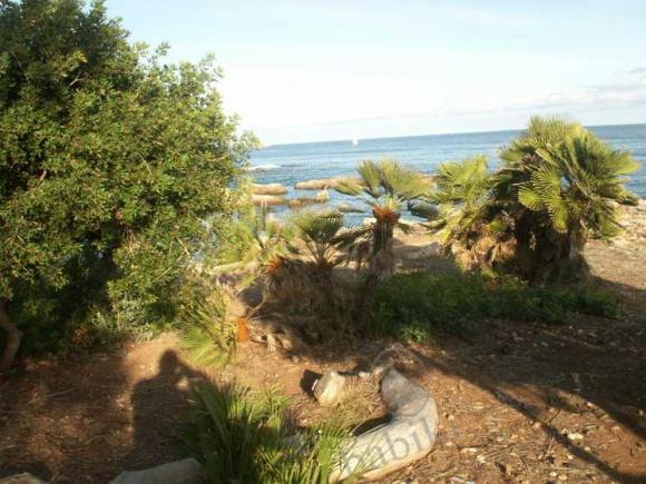 Еще раз о Майорке — Туризм и путешествия: фотоотчеты из поездок