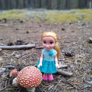 Олеся и грибы 🍄🍄🍄