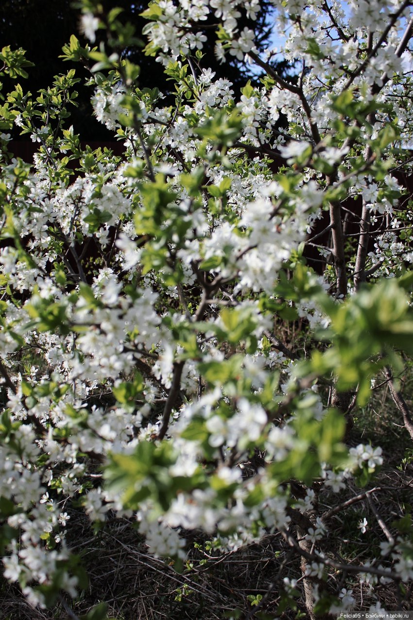 Весна с bratz Meygan genie magic 🌿💚