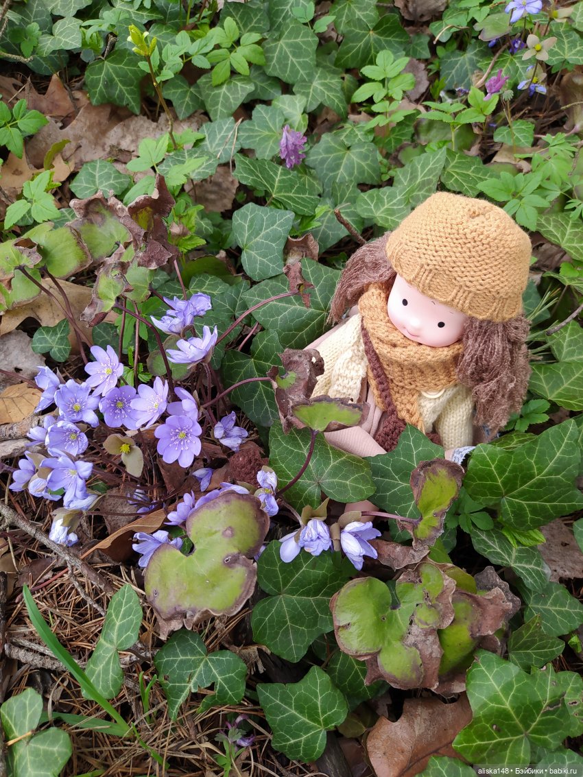 Мадлен в весеннем лесу — Куклы с Алиэкспресс (Aliexpress): Китайские шарнирные (фото 5)