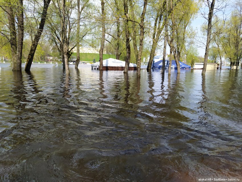Путешествие в Гомель — Разные шарнирные куклы (не БЖД): редкие (фото 8)