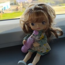 Путешествие в Гомель.