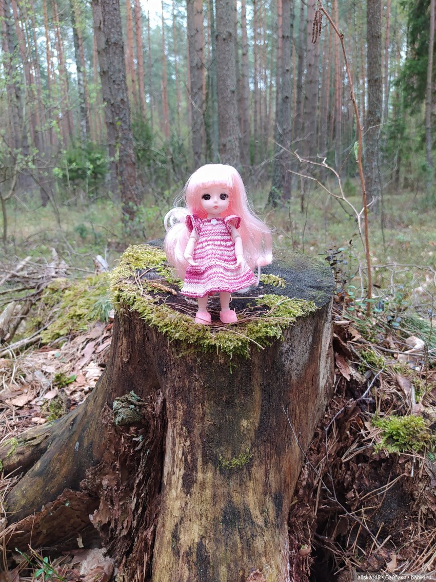 Выходной на природе — Куклы Baboliy (Баболи (фото 8)