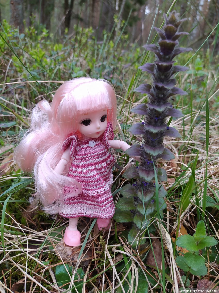 Выходной на природе — Куклы Baboliy (Баболи (фото 6)