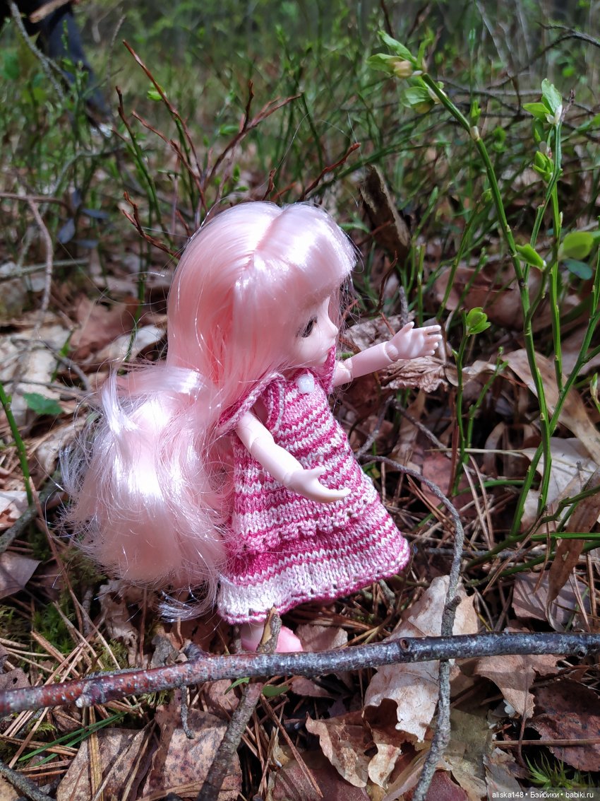 Выходной на природе — Куклы Baboliy (Баболи (фото 9)