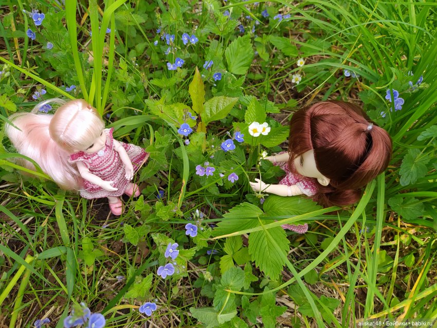 Первый день лета | Бэйбики Первый день лета — Куклы Baboliy (Баболи (фото 2)