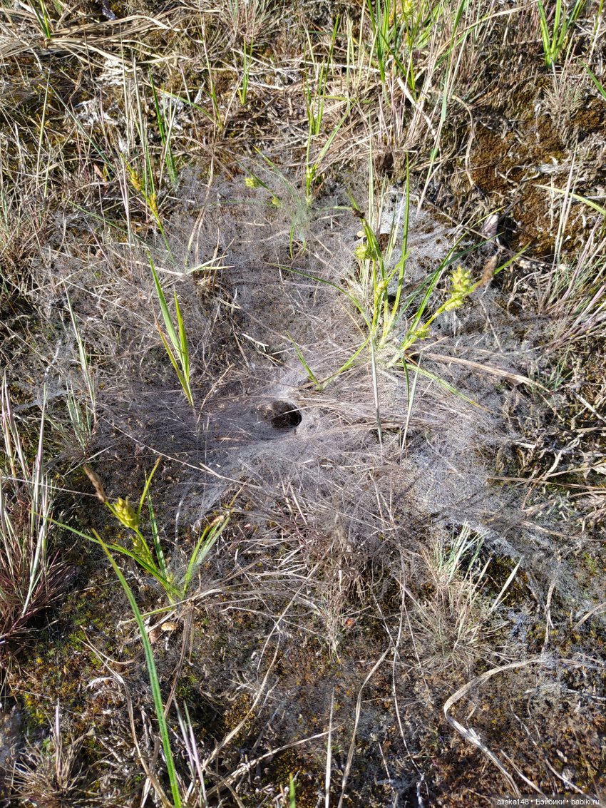 Яся в командировке. День 2 (фото 2)