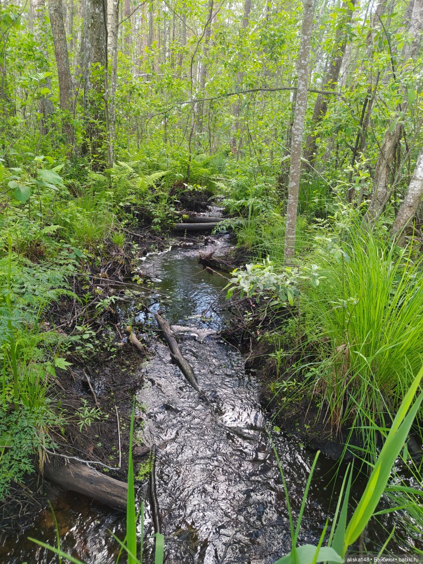 Яся в командировке — Куклы Baboliy (Баболи (фото 3)
