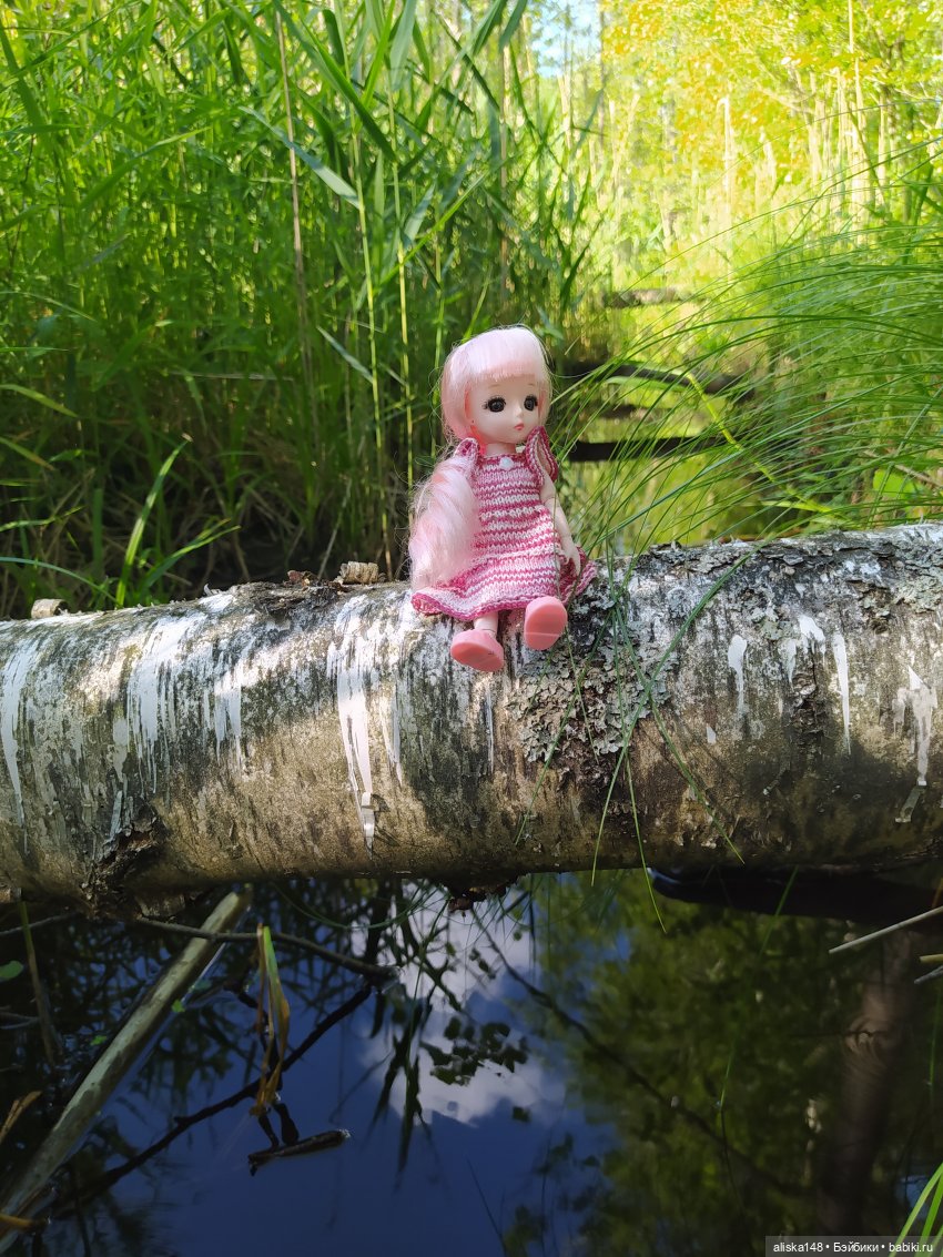 Яся в командировке — Куклы Baboliy (Баболи (фото 5)