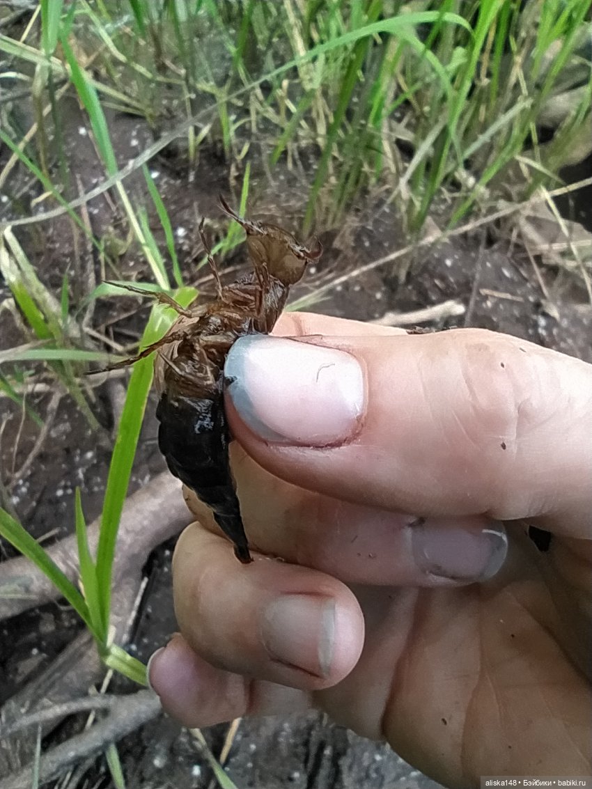 Яся в командировке — Куклы Baboliy (Баболи (фото 8)