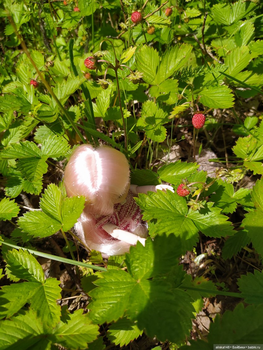 Яся в командировке. День 2 (фото 9)