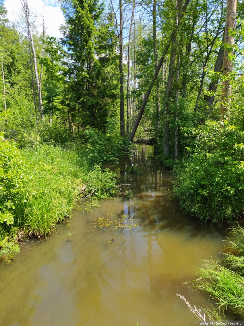 Яся в командировке. День 2