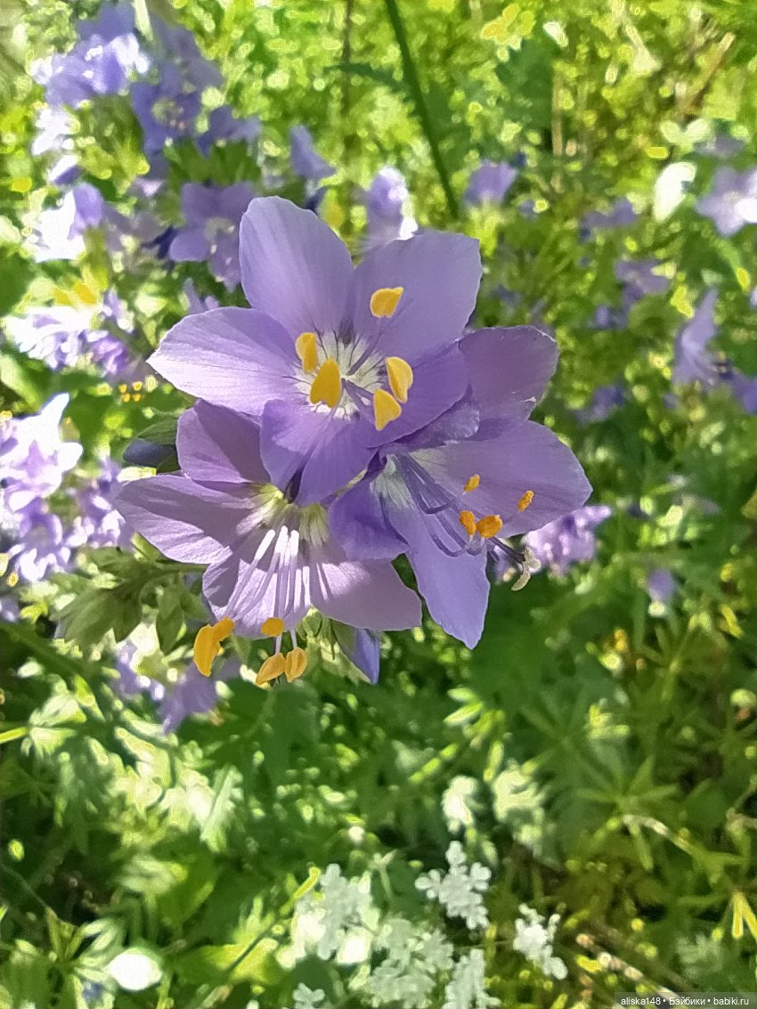 Яся в командировке. День 2