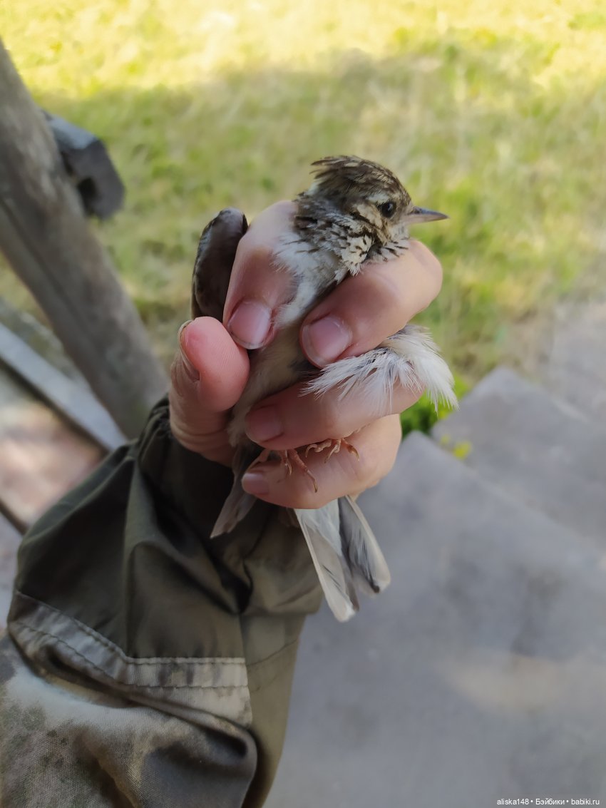 Яся в командировке. День 2 (фото 6)