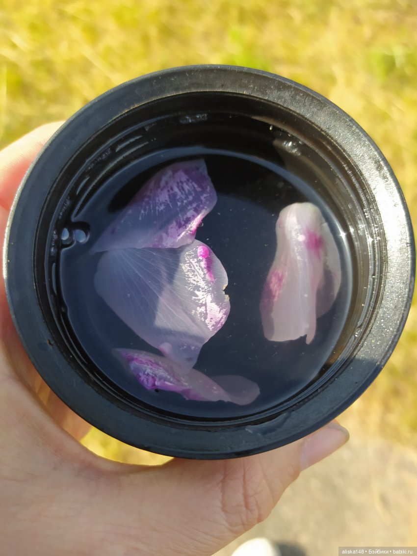 Яся в командировке. День 2 (фото 3)