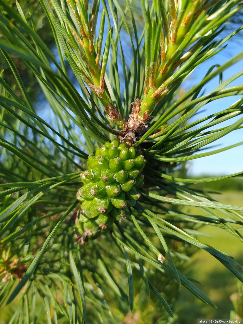 Яся в командировке. День 2