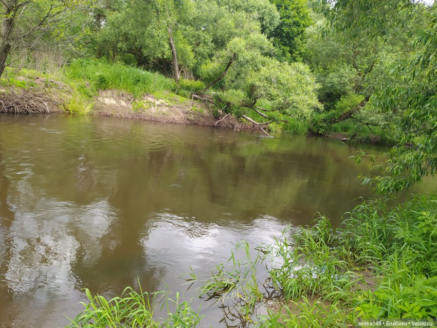 Яся в командировке — Куклы Baboliy (Баболи (фото 2)