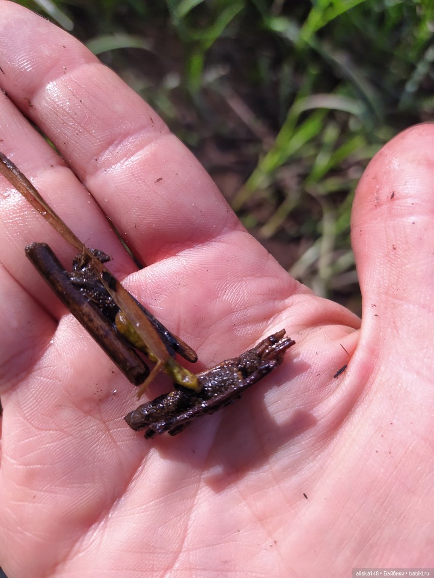 Яся в командировке — Куклы Baboliy (Баболи (фото 9)