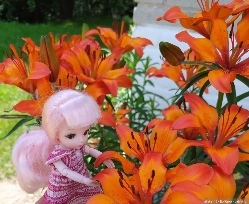 Яся в командировке. День 2