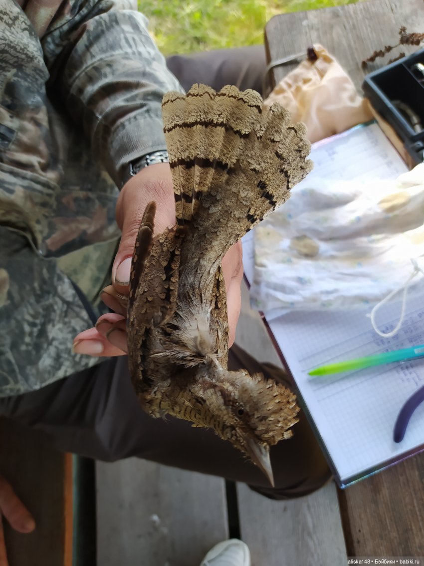 Яся в командировке. День 2 (фото 5)