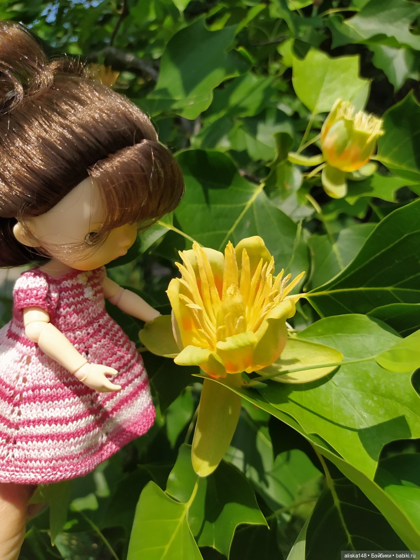 Гуляем по ботаническому саду