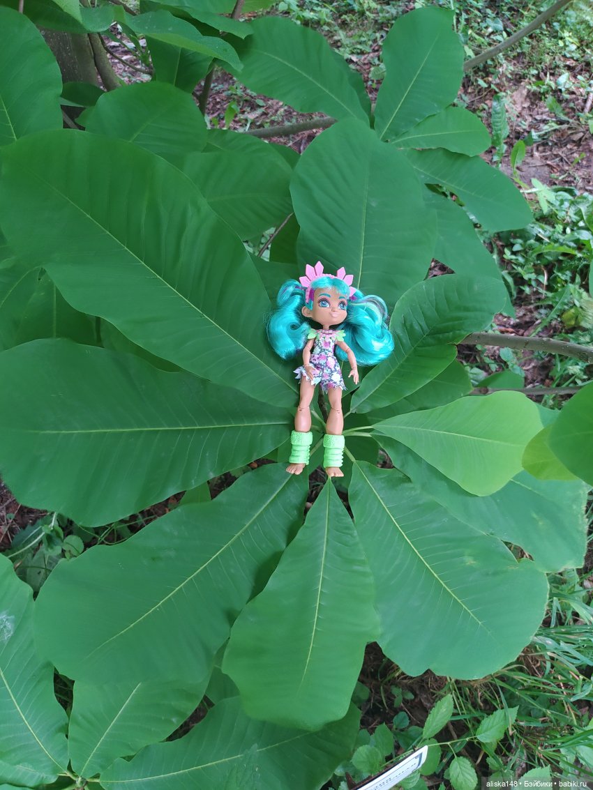 Гуляем по ботаническому саду (фото 7)