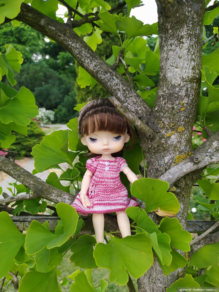 Гуляем по ботаническому саду