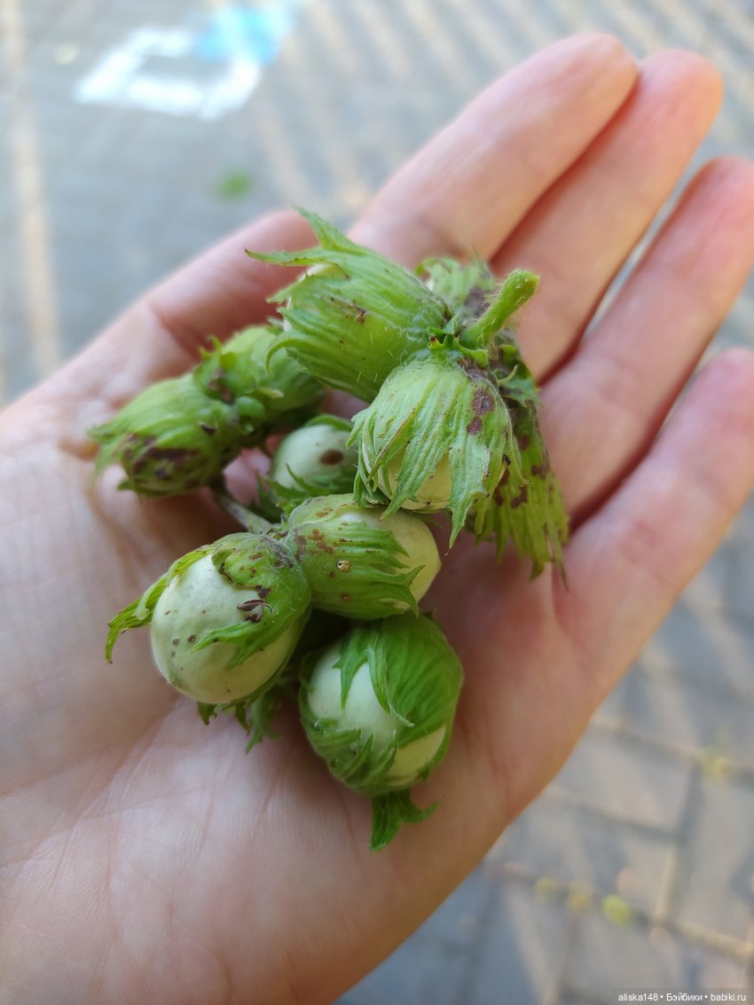 Отдых в заказнике Споровский (фото 9)