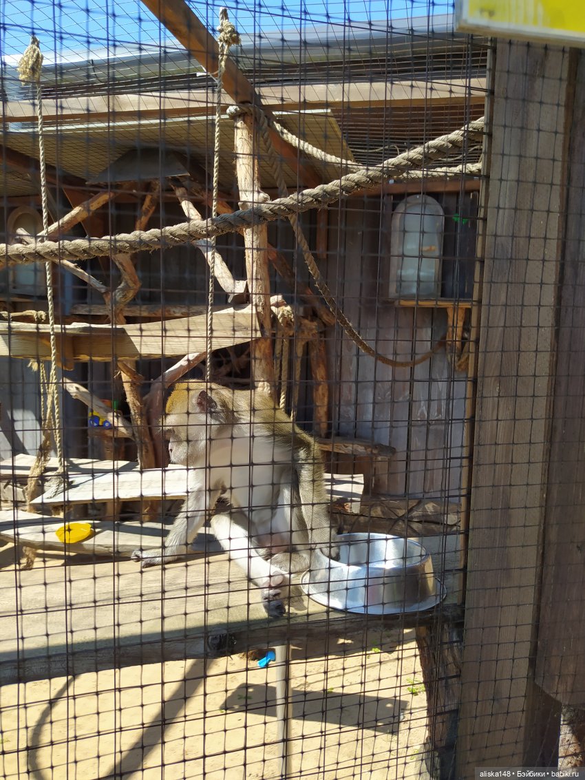 Зоопарк Диприз — Туризм и путешествия: фотоотчеты из поездок (фото 10)