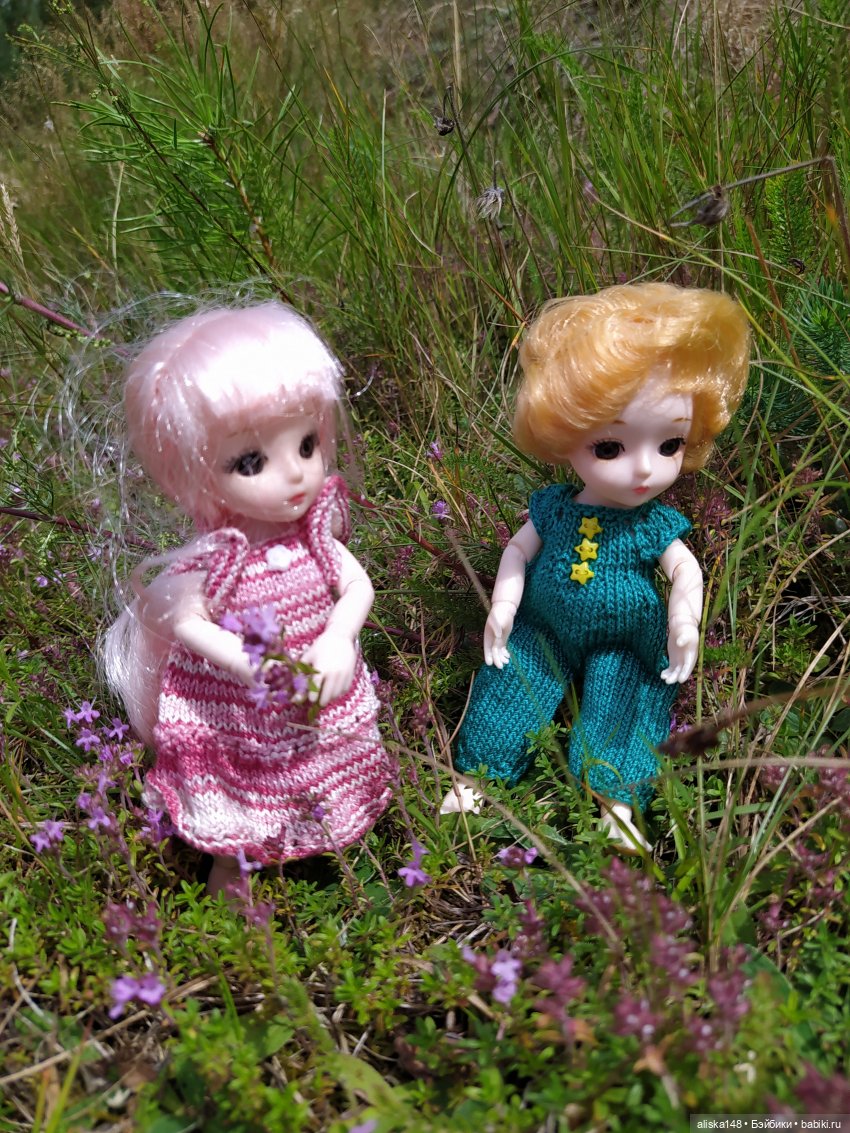 Отдых в заказнике Споровский (фото 2)