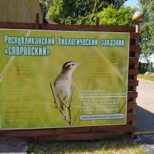 Отдых в заказнике Споровский