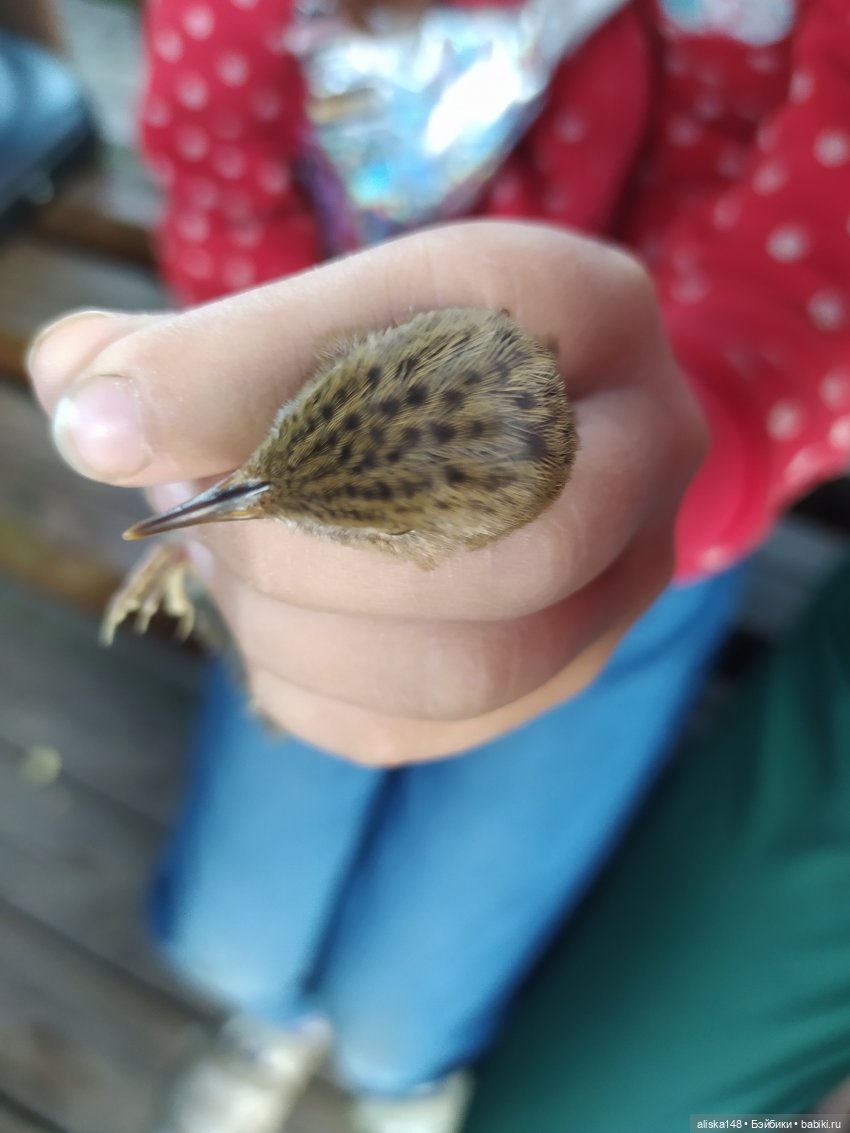 Отдых в заказнике Споровский