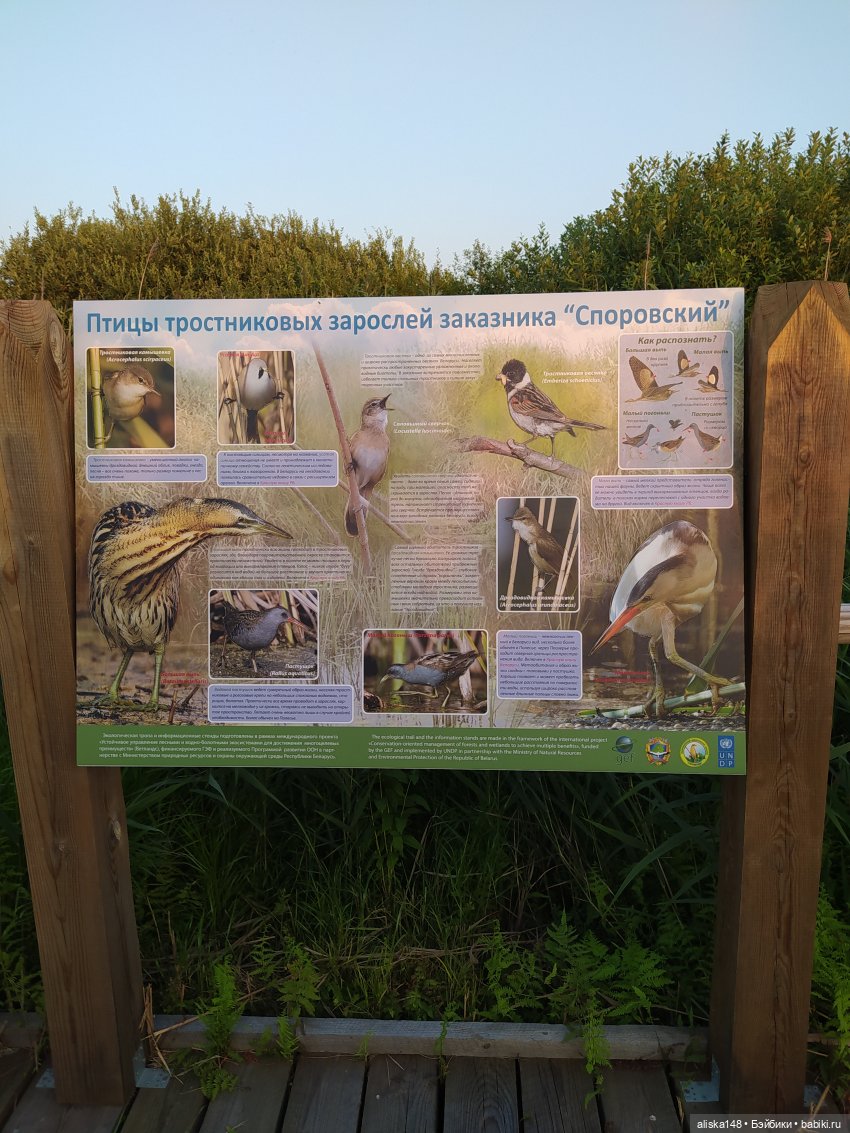 Отдых в заказнике Споровский