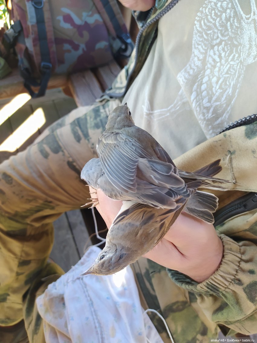 Отдых в заказнике Споровский