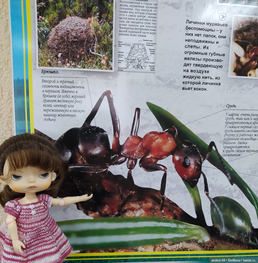 Отдых в заказнике Споровский