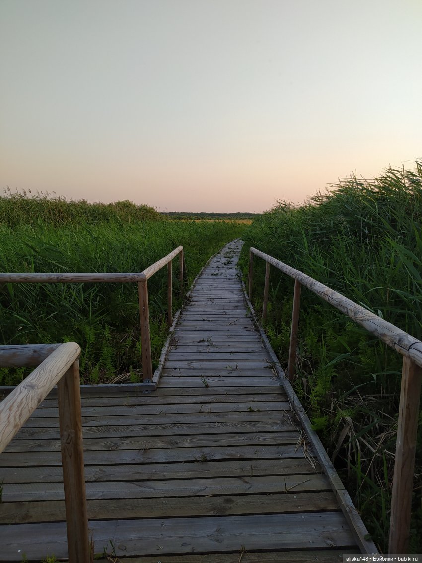 Отдых в заказнике Споровский