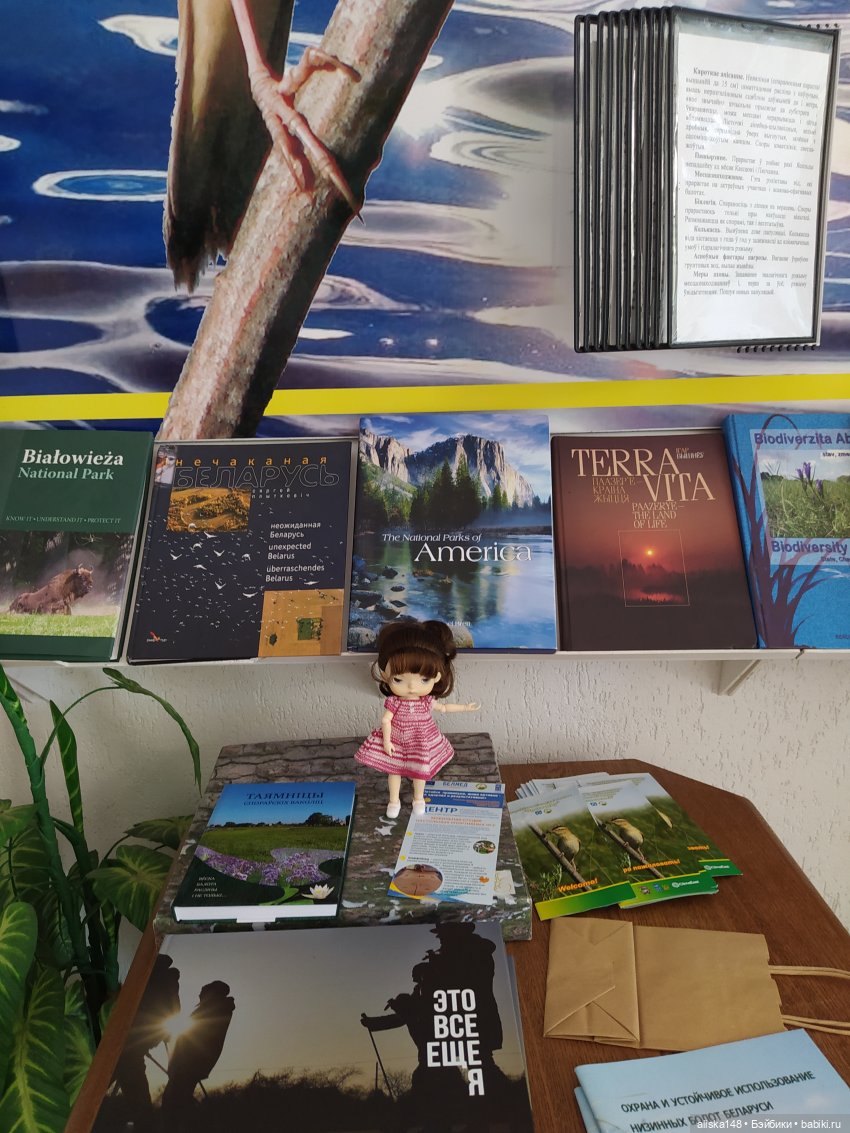 Отдых в заказнике Споровский