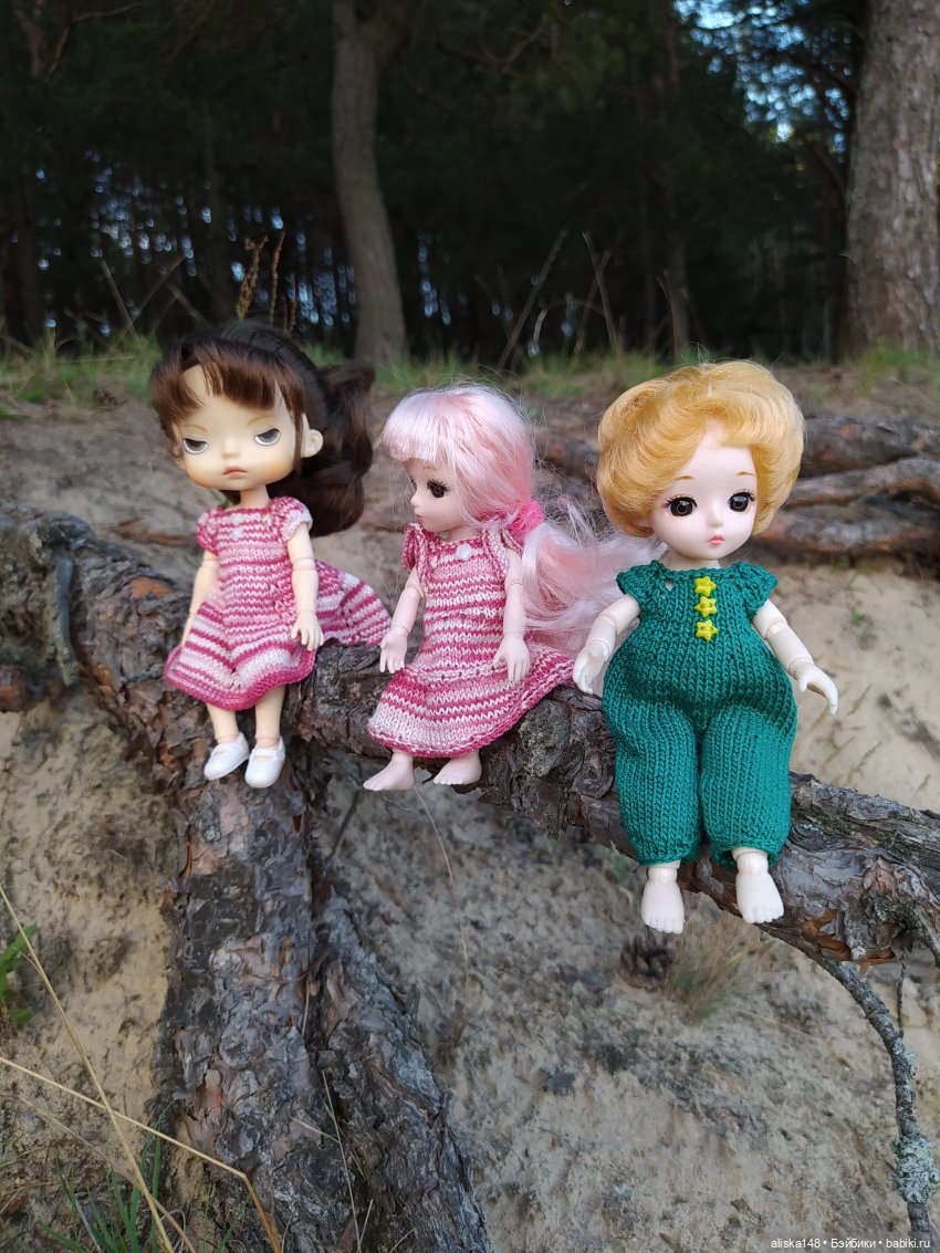 Отдых в заказнике Споровский (фото 10)