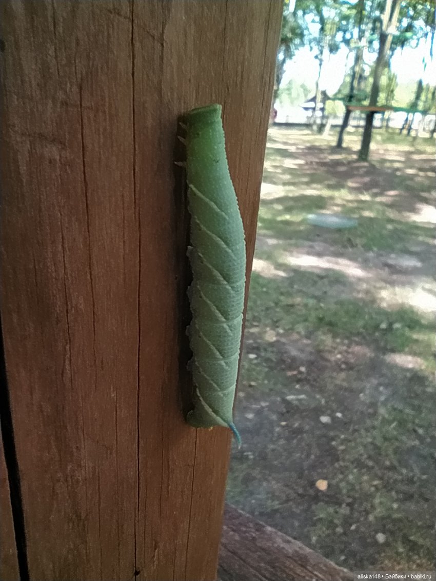 Отдых в заказнике Споровский (фото 6)