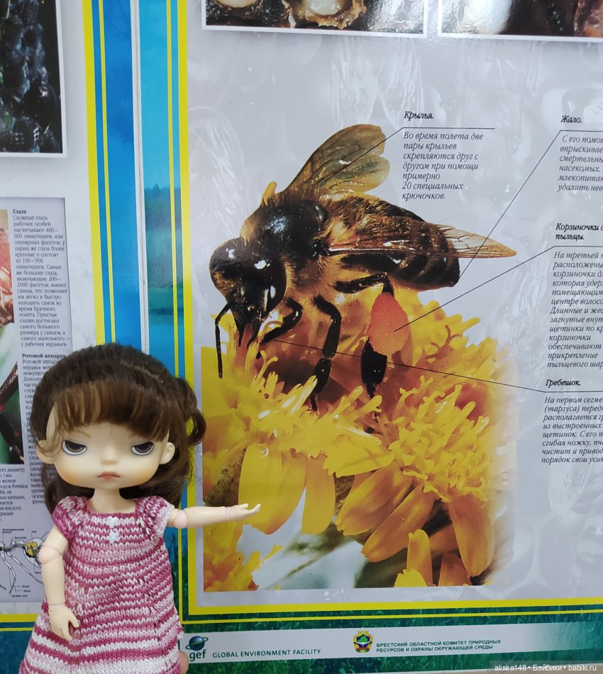 Отдых в заказнике Споровский