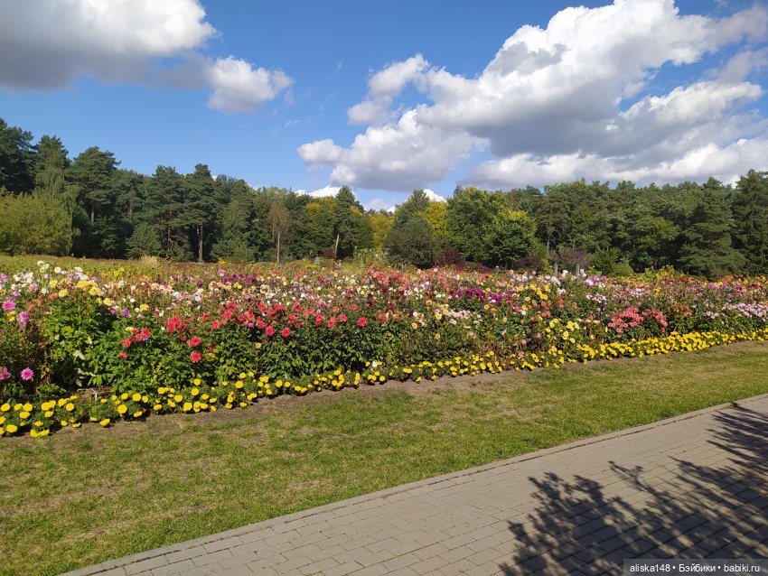Ботанический сад в сентябре. Или первая прогулка Аси (фото 6)