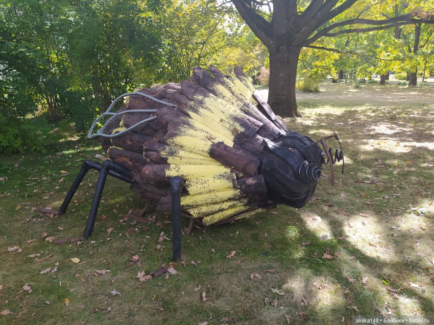 Ботанический сад в сентябре. Или первая прогулка Аси